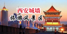 黑人鸡巴少妇中国陕西-西安城墙旅游风景区